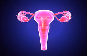 سرکلاژ دهانه رحم