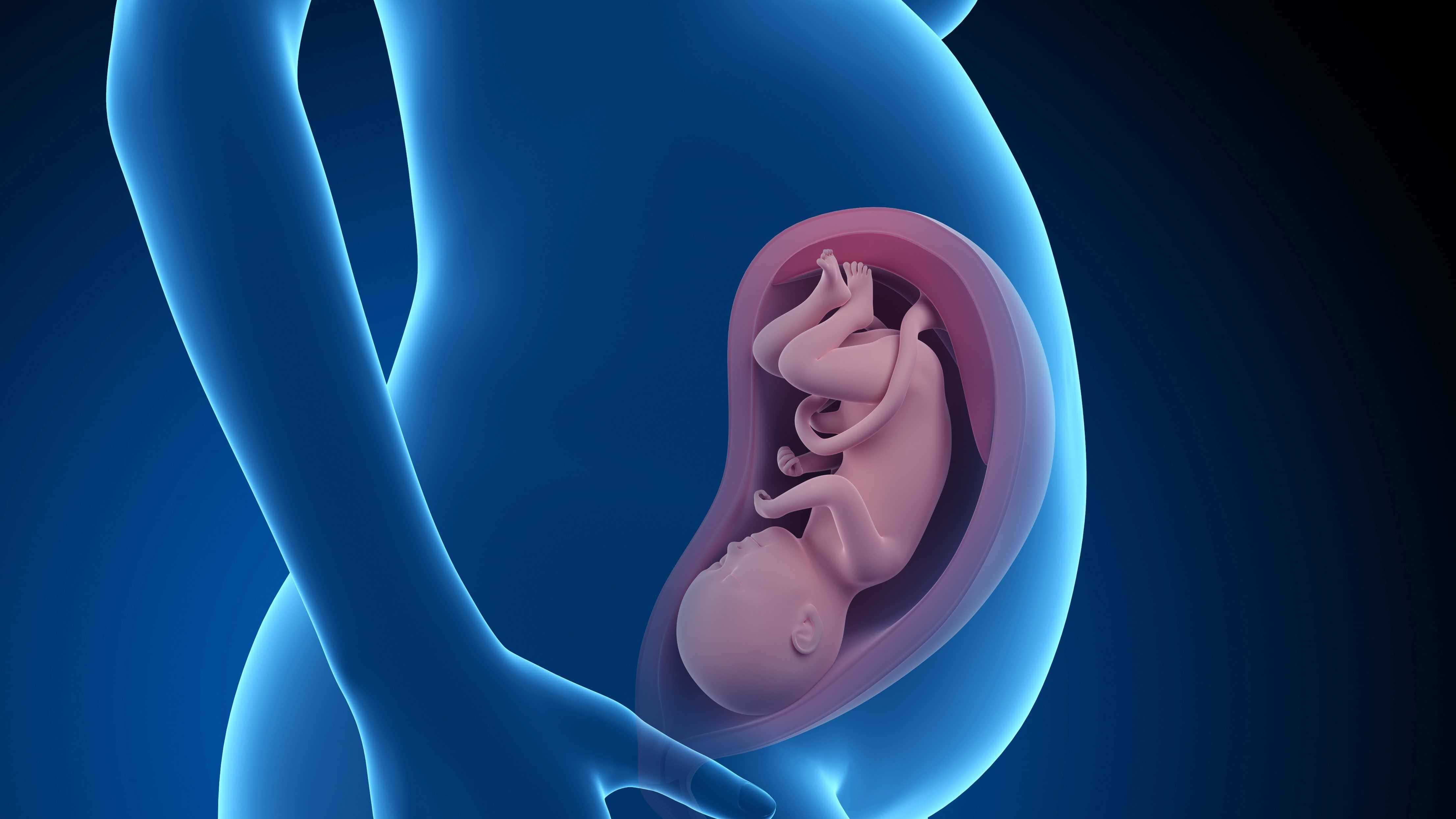 تغییر شکل اعضای بدن بارداران