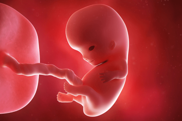 مشکلات جفت در بارداری